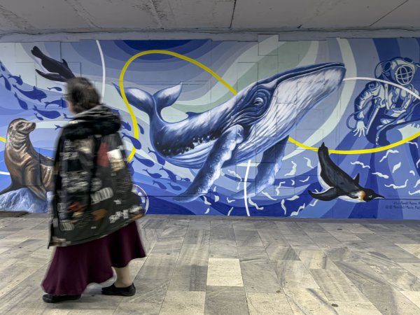 Димитър Кьосемарлиев, Dnes.bg